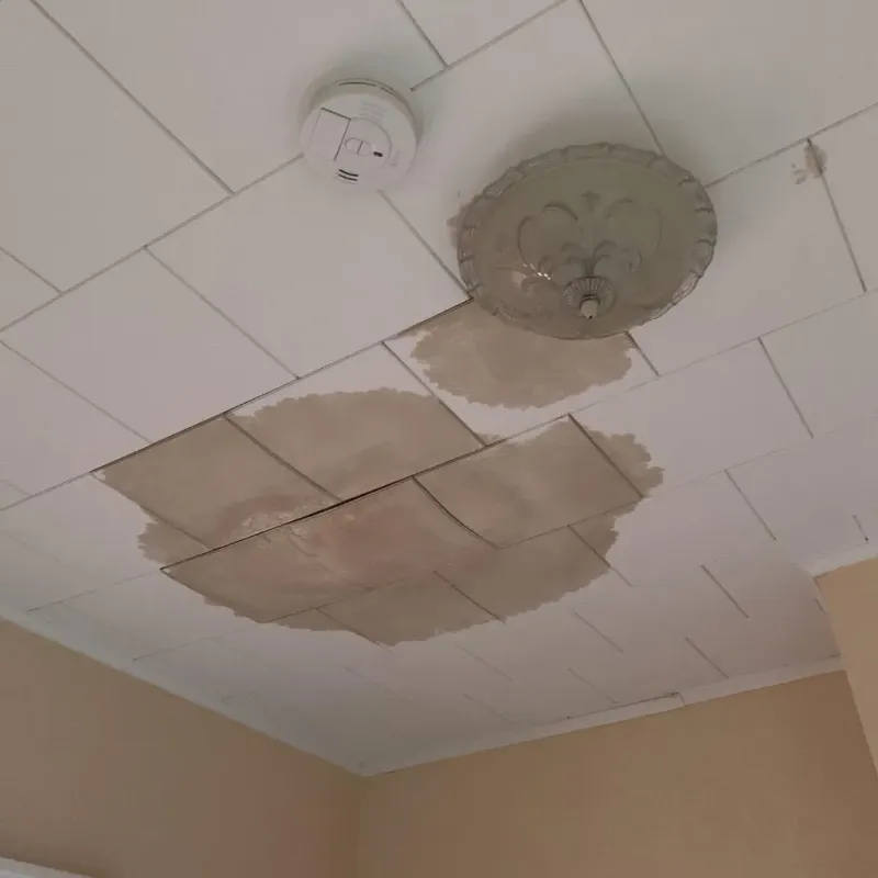 Ceiling Water Damage Repair in Eastport, NY
